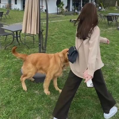 窗户上的阴影